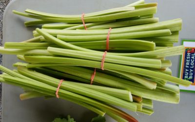 CSA Week 2 Recipes