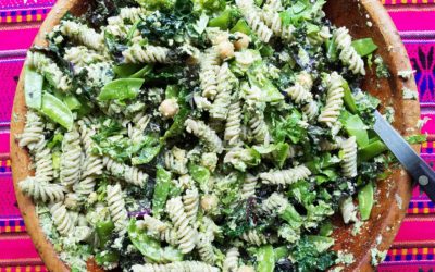 CSA Week 5 Recipes