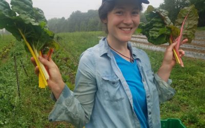 CSA Week 7 Recipes