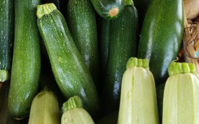 CSA Week 10 Recipes