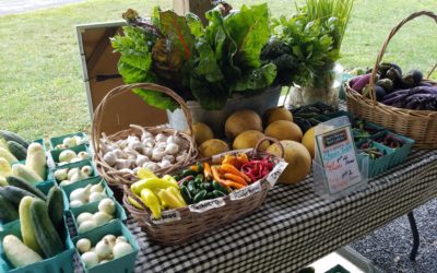 CSA Week 14 Recipes