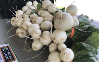 Featured Member Recipes