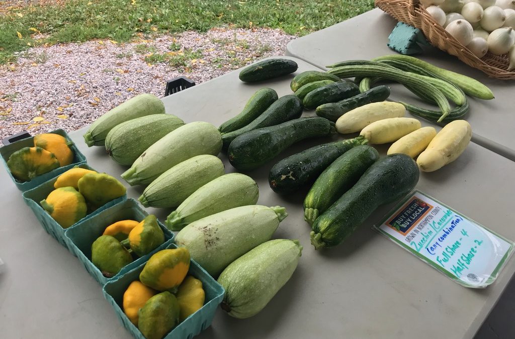 2021 CSA Week 11 Recipes