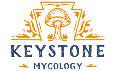 Keystone Mycology – NEW Partner!