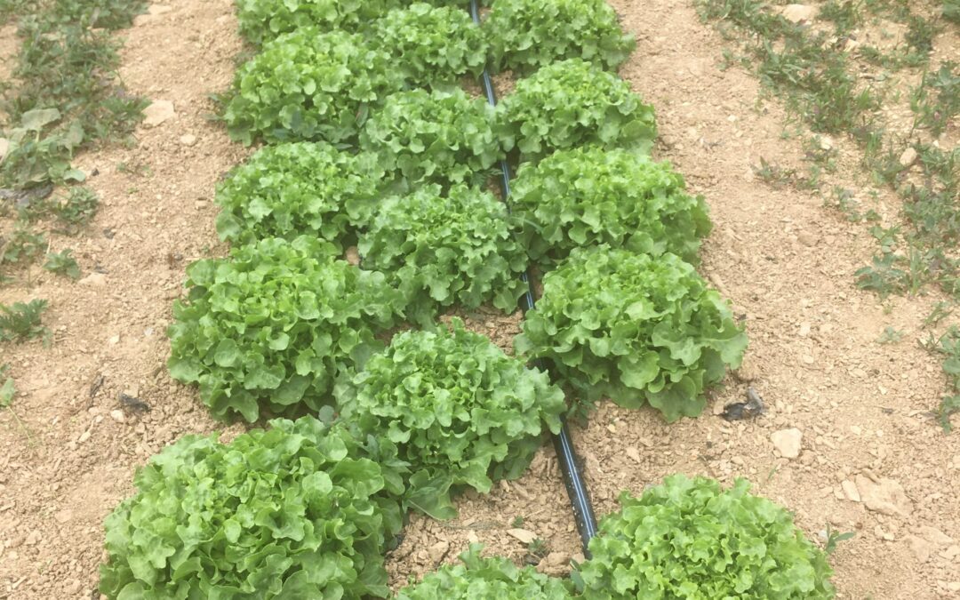 2021 CSA Season Week 1