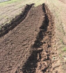 Week 2 Improving Conditions